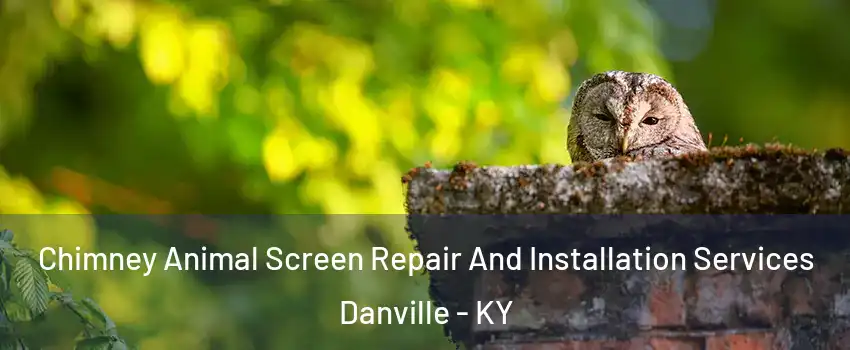  Chimney Animal Screen Repair And Installation Services Danville - KY